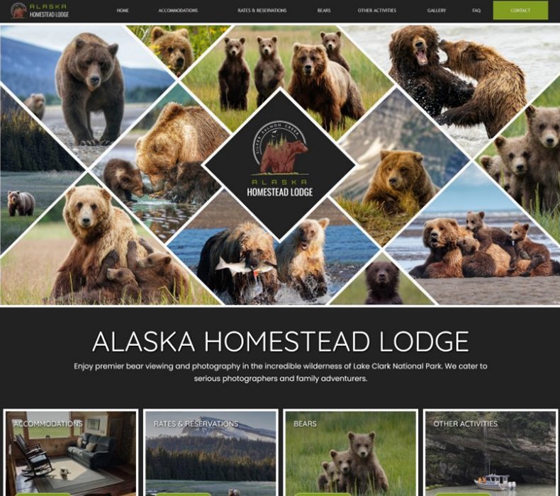 Affordable Website Design