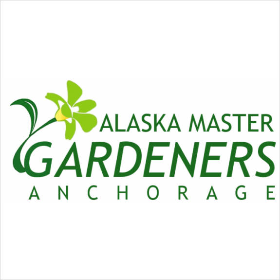 Affordable Logo Design